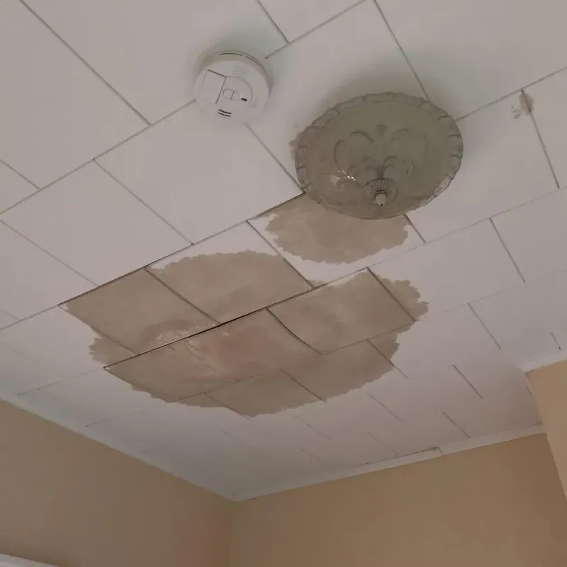 Ceiling Water Damage Repair in Tipton County, IN