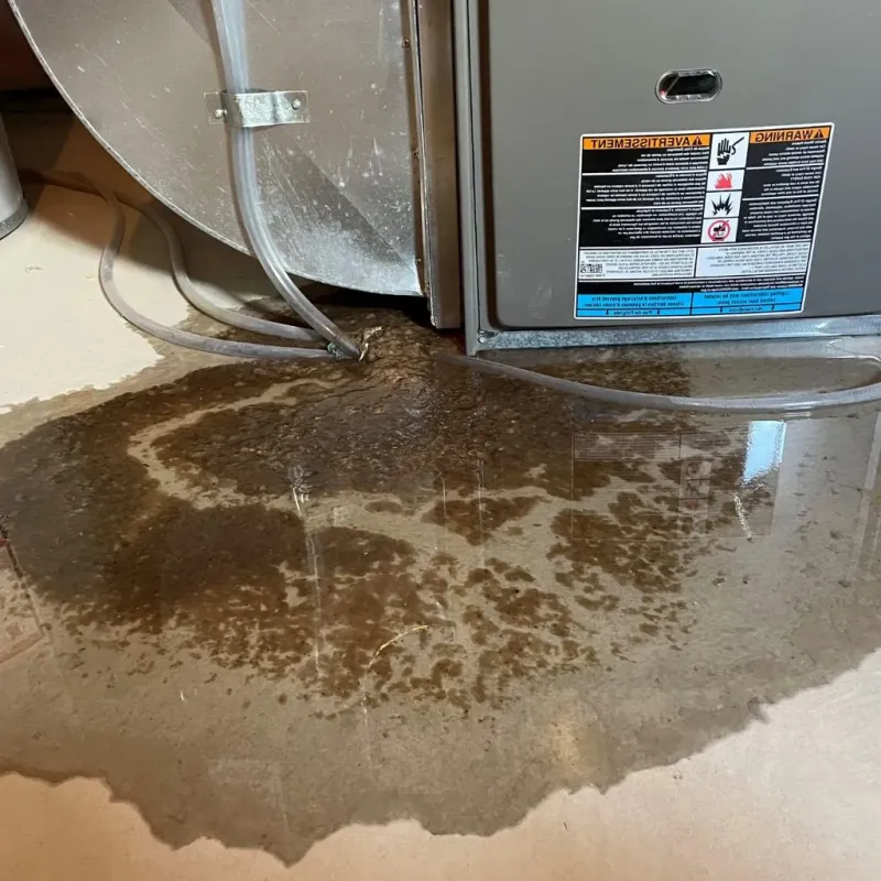 Pipe Burst and Leak Restoration in Tipton County, IN