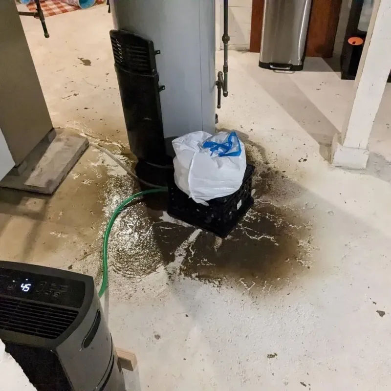 Sewage Backup Cleanup Service in Tipton County, IN